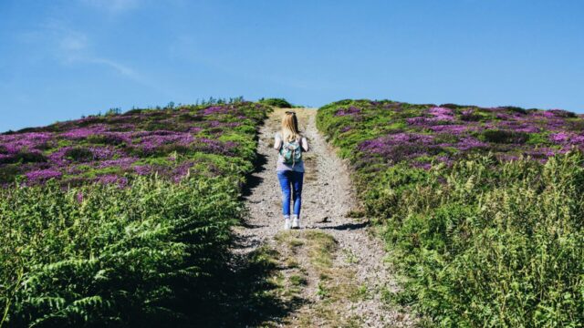 人の言葉にいちいち傷ついてしまう人へ。流されない自分軸の作り方